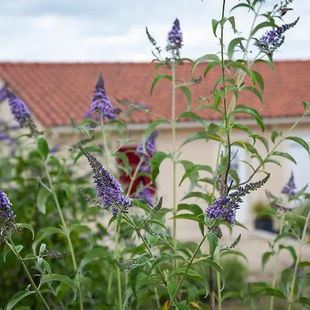 Maison Moderne à Fossemagne, Proche Périgueux, Confort Et Activités - Fr-1-616-262 Fossemagne